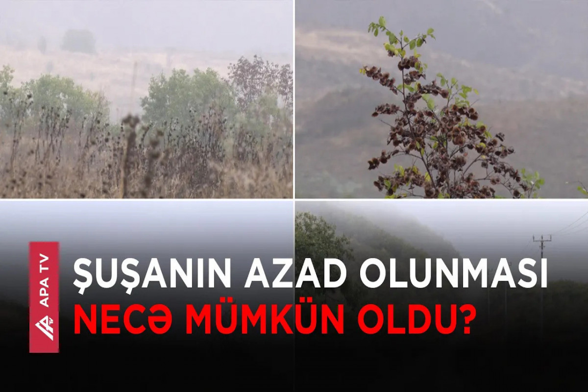 Qubadlı uğrunda döyüşlərin PƏRDƏARXASI: “Buna görə də düşmən geri çəkildi”