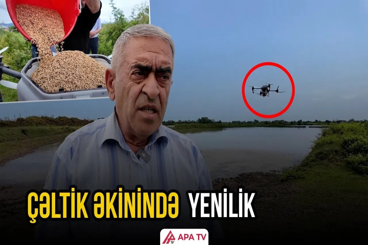 Lənkəranda ilk dəfə dronla çəltik toxumu səpildi