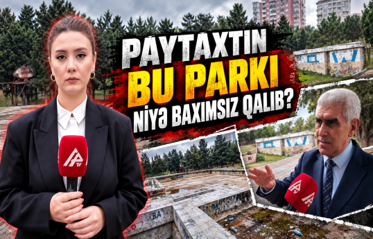 Bakının yaddan çıxan təbiət guşəsi – “Pitomnik”dən REPORTAJ
                                                