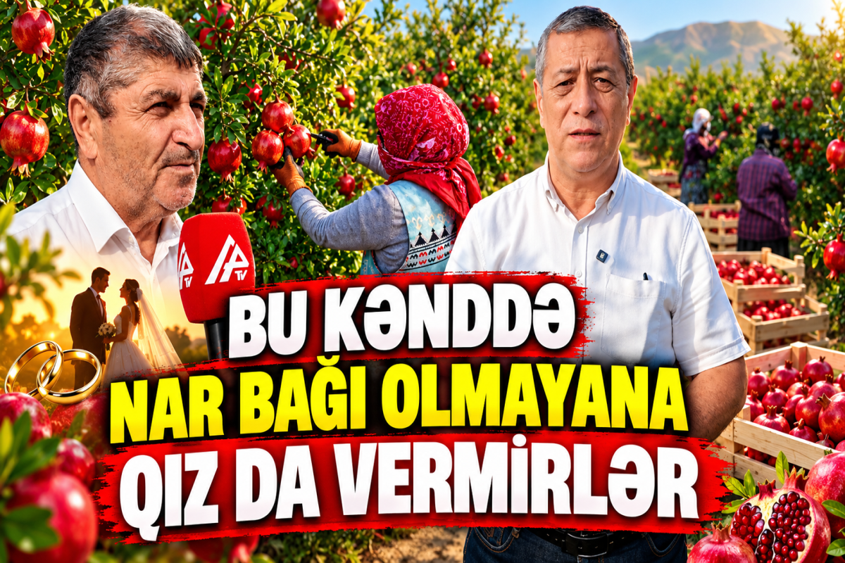 Udulluda nar mövsümü: məhsul necə yetişdirilir, necə satılır? - Reportaj