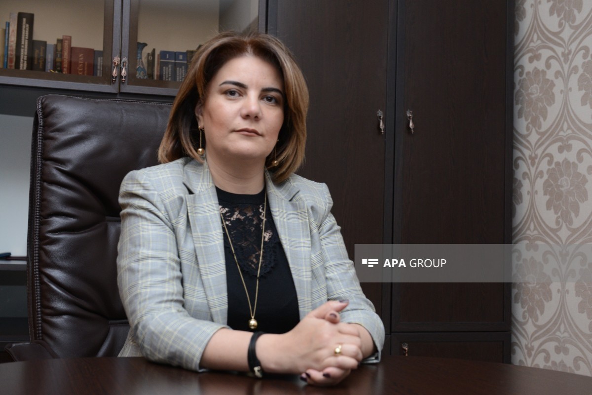 ...Dövlətin ən prinsipial, Qanunun ən sərt üzüylə!-<span style="color: red;">Vüsalə Mahirqızının yazısı 