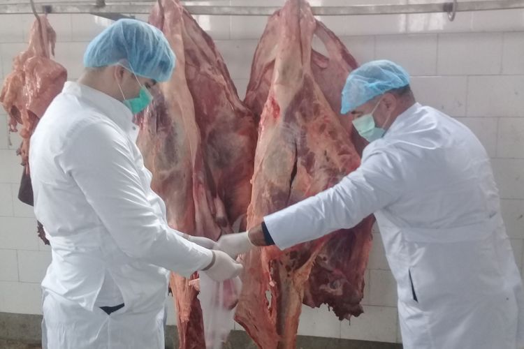 В Сумгайыте уничтожено 227 кг непригодного мяса