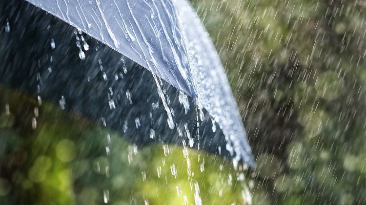 Rain to fall tomorrow, to intensify in some areas - WARNING