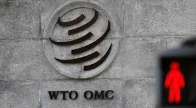 WTO ban on tariffs for digital trade extended until June 2020