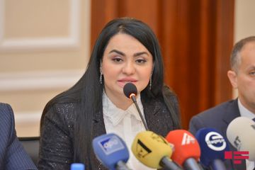 “İnsan hüquqlarının qorunması media müstəvisində” mövzusunda tədbir keçirilib