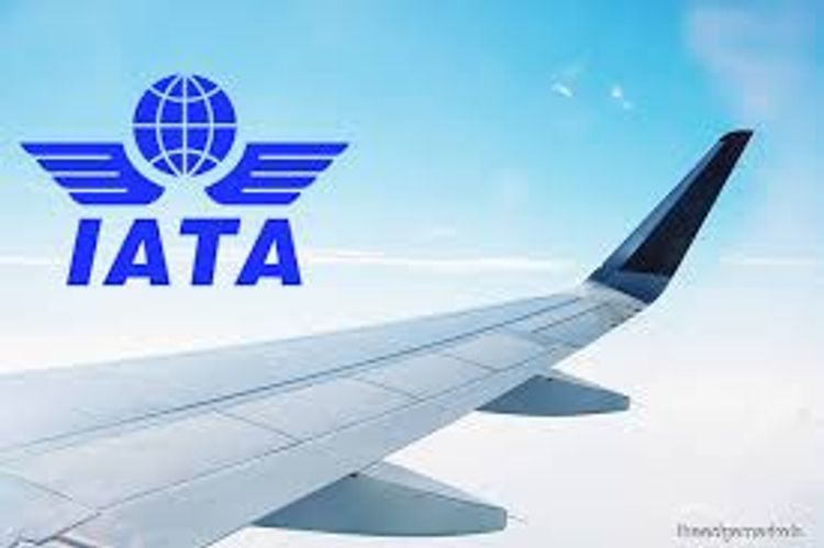 IATA revises down 2019 airline profits, sees stability in 2020