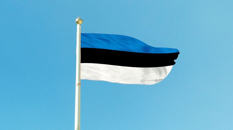 Власти Эстонии пригрозили российским журналистам уголовными делами
