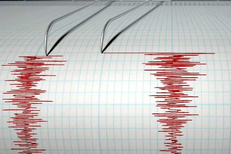 В Иране произошло землетрясение силой 3.8 балла