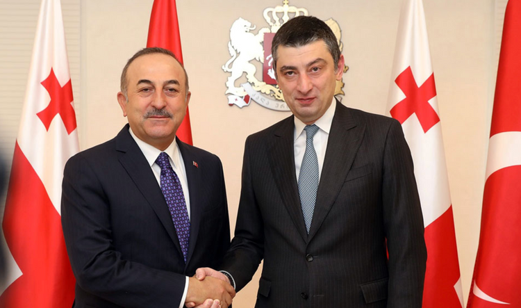 Gürcüstanın Baş Naziri Mövlud Çavuşoğlu ilə görüşüb