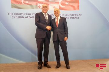 Elmar Məmmədyarov gürcüstanlı həmkarı ilə görüşüb - FOTO