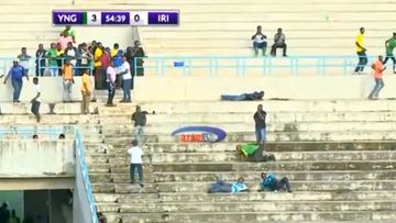 Tanzaniya kubokunda arılar stadiona hücum çəkib, oyun dayandırılıb - FOTOSESSİYA