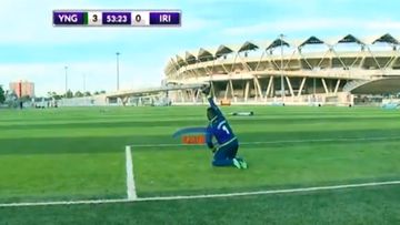 Tanzaniya kubokunda arılar stadiona hücum çəkib, oyun dayandırılıb - FOTOSESSİYA