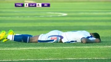 Tanzaniya kubokunda arılar stadiona hücum çəkib, oyun dayandırılıb - FOTOSESSİYA