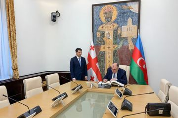 Elmar Məmmədyarov Gürcüstan parlamentinin sədri ilə görüşüb