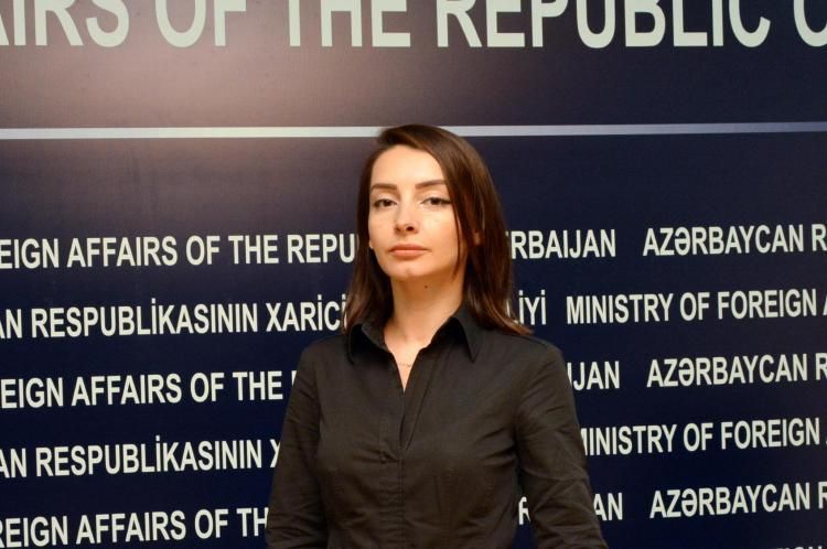 Leyla Abdullayeva comments on the statement of the Armenian MFA on the alleged pogrom against Armenians in Nakhchivan