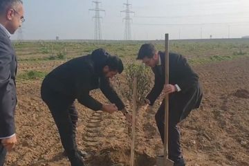 Səfir: “İnanıram ki, Azərbaycan və İsrail xalqları arasındakı dostluq əbədi çiçəklənəcək” - VİDEO