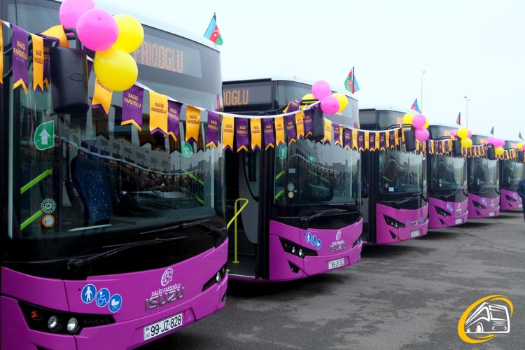 “Xaliq Faiqoğlu” Bakıya yeni gətirilmiş müasir avtobusları təqdim edib