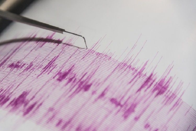 Землетрясение магнитудой 5,5 произошло у берегов ЮАР