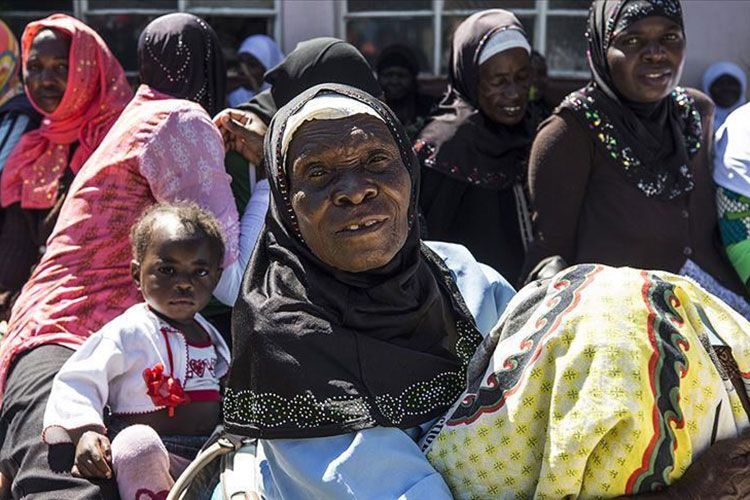 Более 50% населения Зимбабве столкнулось с голодом