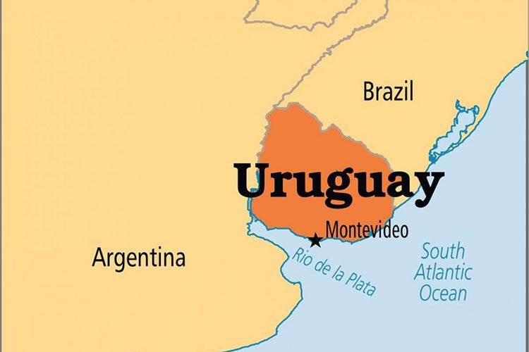 В Уругвае начался второй тур выборов президента   