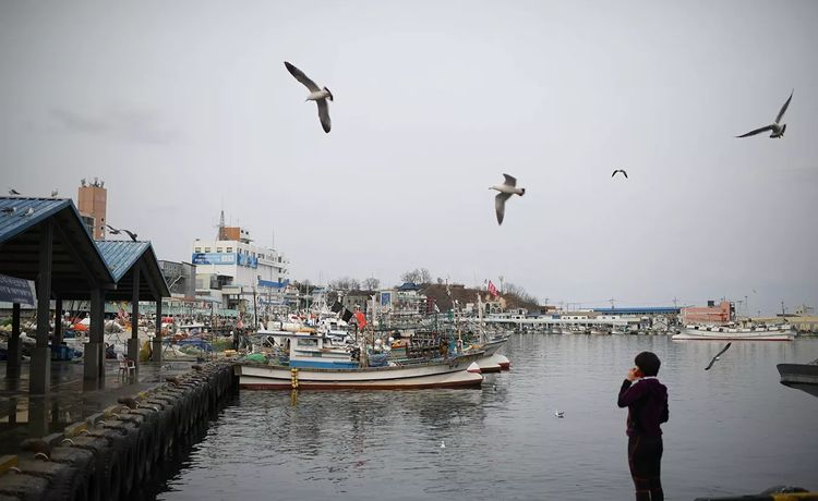 В Южной Корее вместе с экипажем затонула рыболовецкая шхуна