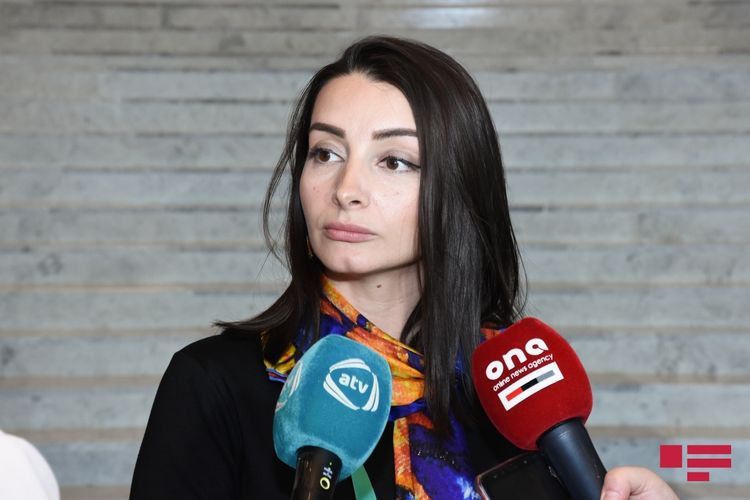 MFA Spokeswoman: "Armenian PM should realize that Armenian-Azerbaijani Nagorno Garabagh conflict has nothing to do with CSTO"