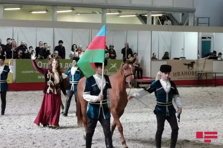 Garabagh horses demonstrated at International Horse Exhibition in Moscow