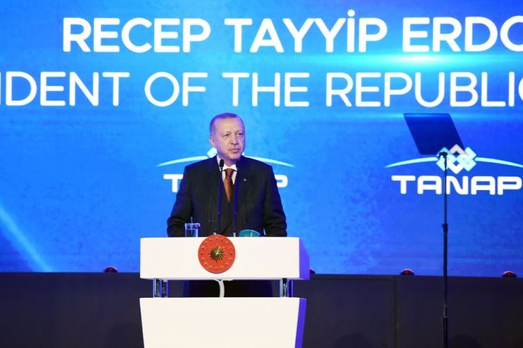 Turkish President Erdogan: "TANAP is peace project"