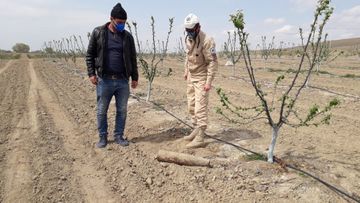 Ağstafada raket tapılıb