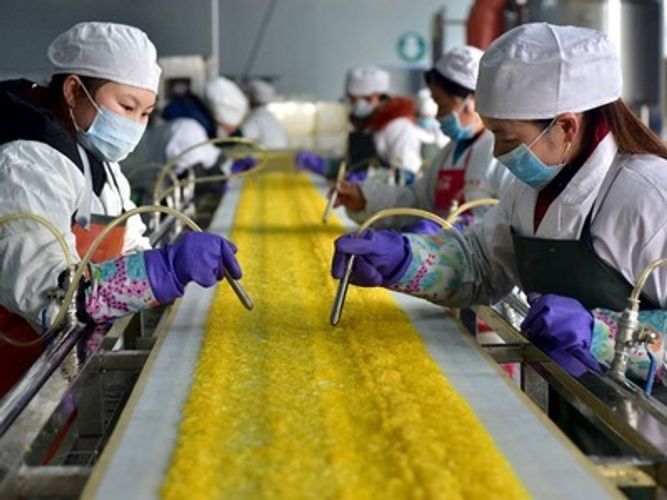 Более 93% предприятий в провинции Хубэй возобновили работу
