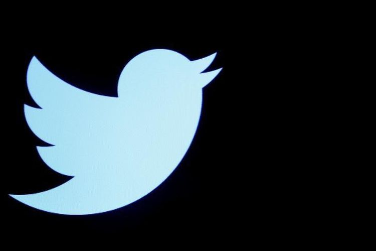 Twitter removes accounts linked to Egypt, Saudi Arabia, other countries
