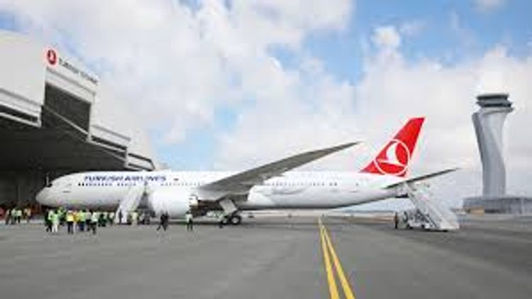 Turkish Airlines halts domestic flights till April 20
