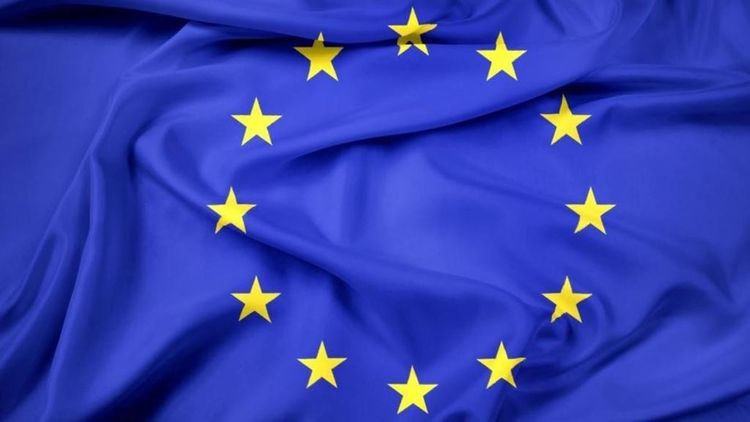 ЕС соберет €15 млрд помощи для борьбы с коронавирусом в мире