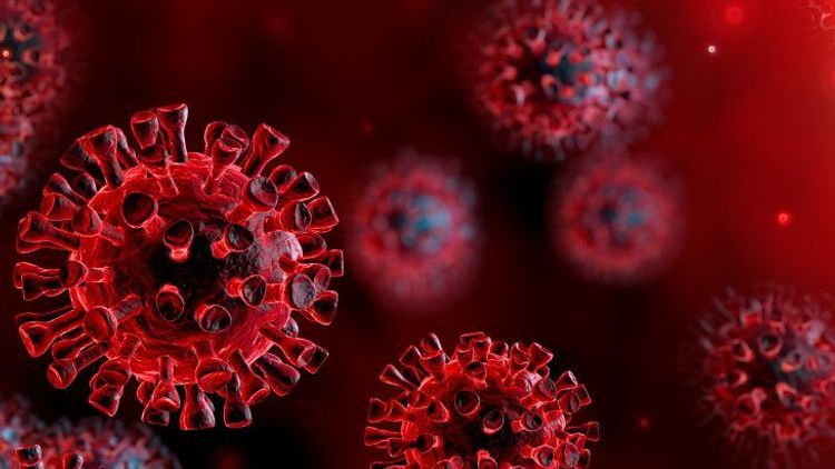 Artificial virus blocking coronavirus infection created