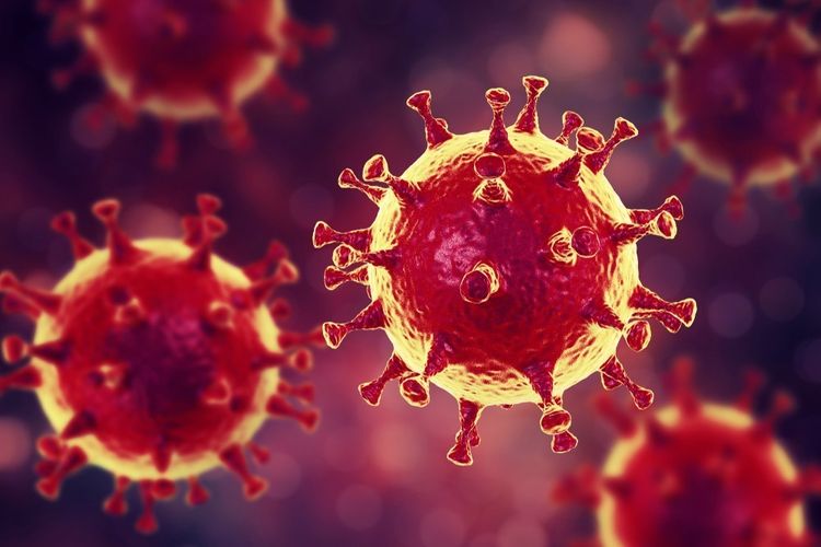 В Испании за сутки от коронавируса умерли 567 человек