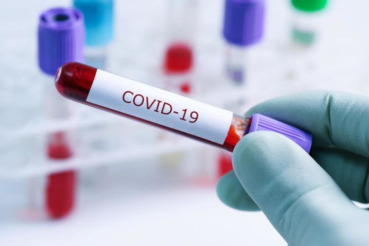 Mexico registers 448 new cases of coronavirus and new 43 deaths