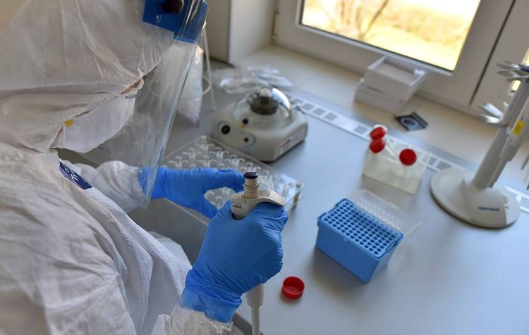 CNN: разведка США проверяет версию о распространении коронавируса из лаборатории в Китае