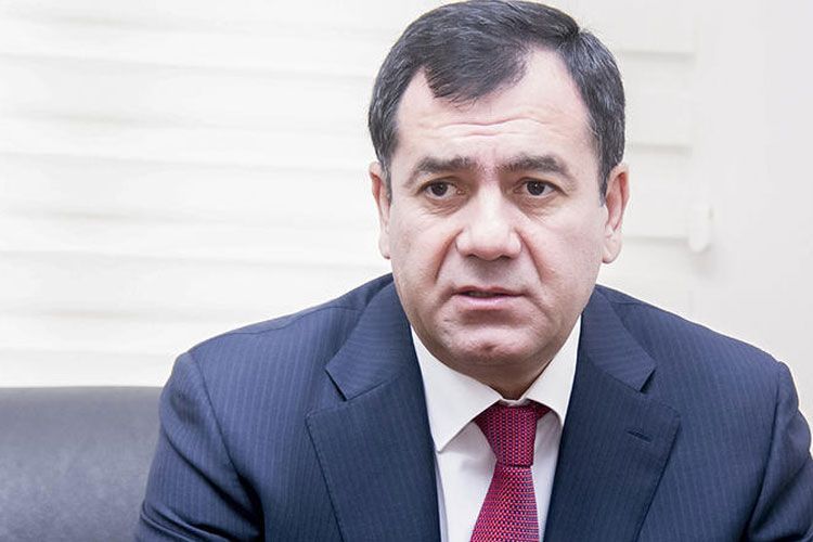 Депутат: НАНА должна быть приватизирована и стать современным частным университетом