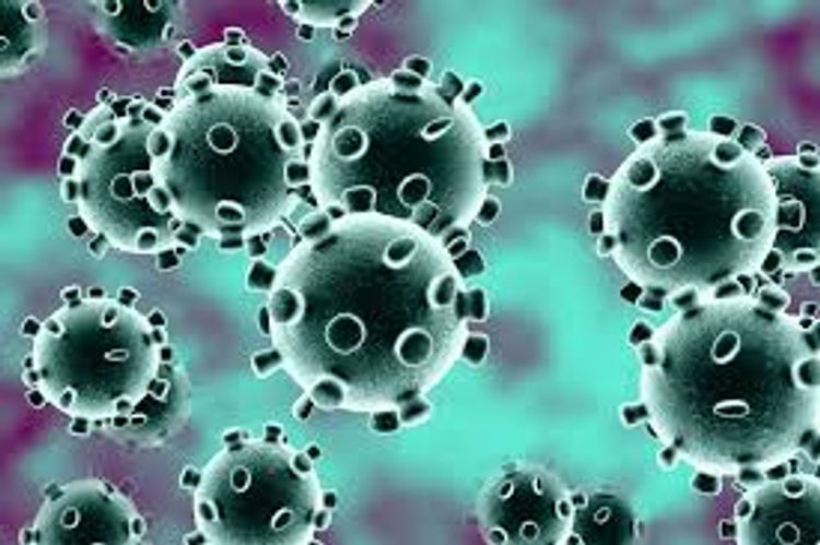 Coronavirus death toll in US rises to 51,017 people