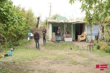 Ağdamda ilan sürüsü yaşayış evinə dolub - FOTO