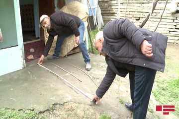 Ağdamda ilan sürüsü yaşayış evinə dolub - FOTO