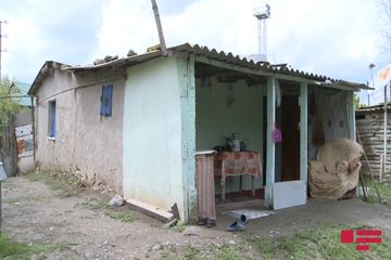 Ağdamda ilan sürüsü yaşayış evinə dolub - FOTO