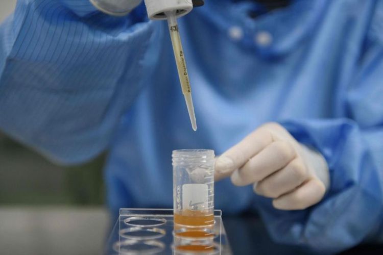 China says Indian criticism of coronavirus test kits is "irresponsible"