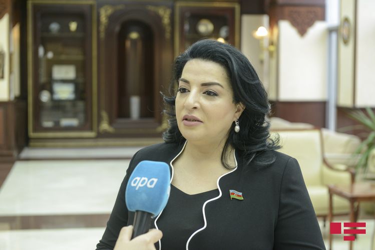 Fatma Yıldırım: “Azərbaycan diasporunun işinin daha da səmərəli aparılması üçün beynəlxalq dəstək fondu yaradılmalıdır” - MÜSAHİBƏ