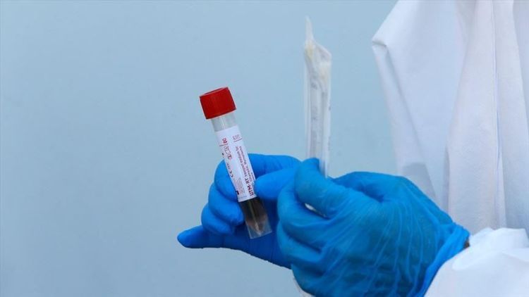 Italy: 382 new deaths ahead of easing virus measures