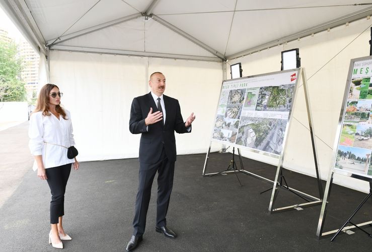 President Ilham Aliyev viewed works to be done in new forest type park in Yasamal district