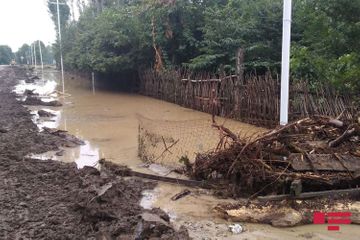 Сель затопил дорогу Исмаиллы-Габала, вода проникла в дома – ФОТО
