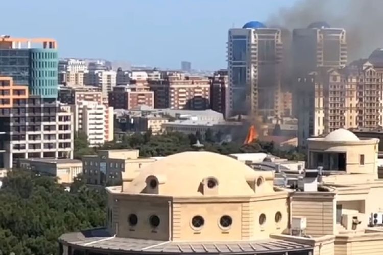 Пожар в парке в Баку потушен - ОБНОВЛЕНО