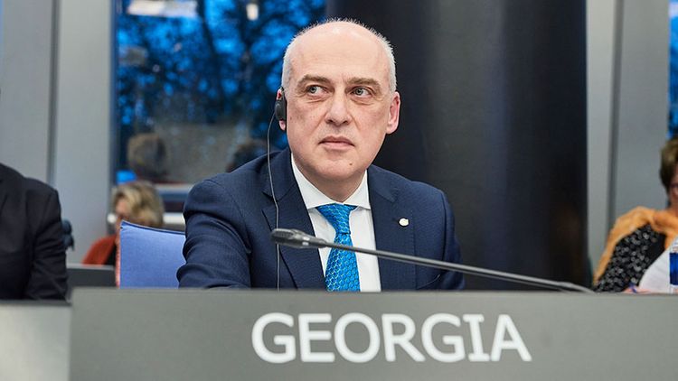 Глава МИД Грузии: Отсутствие боевых действий не означает наступления мира