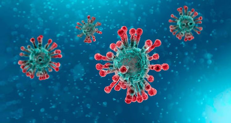 Poland reports 843 new coronavirus cases
